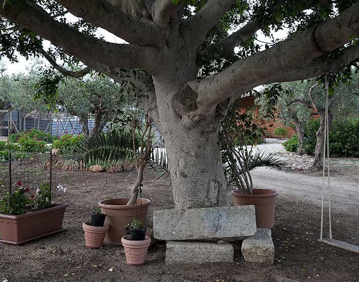 Borgo Pida bed and breakfast trapani