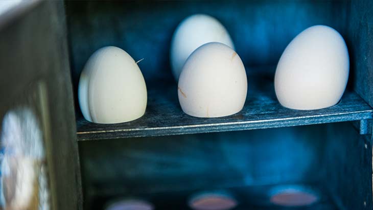 Borgo Pida turismo rurale