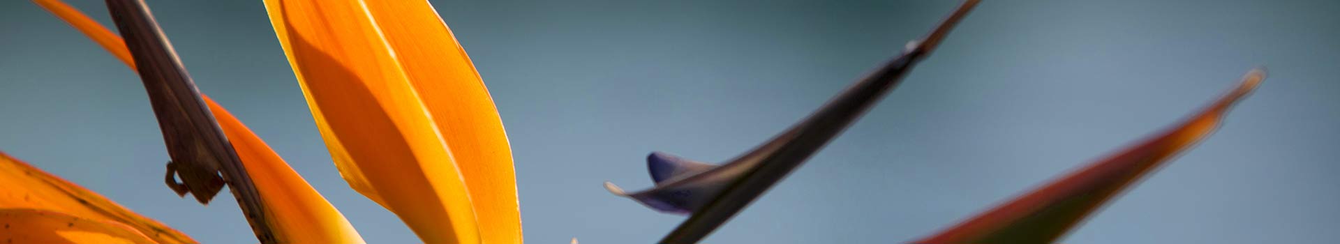 griturismo Borgo Pida