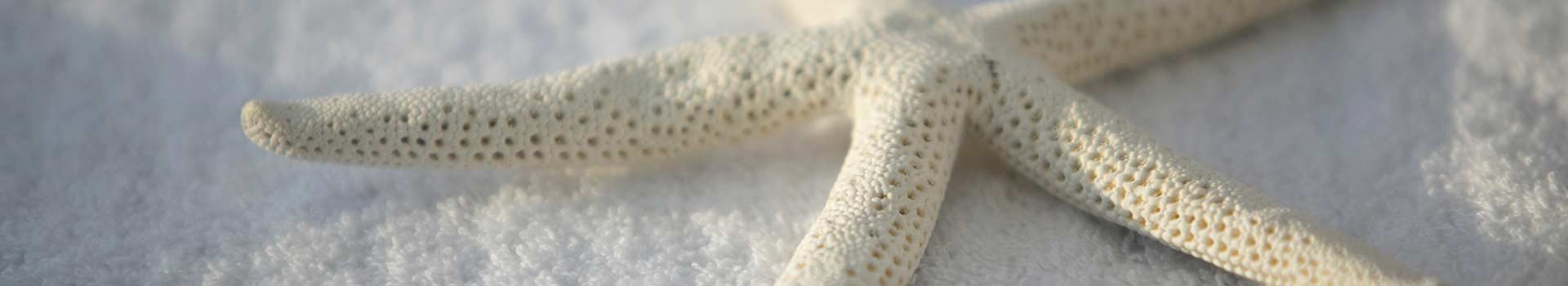 griturismo Borgo Pida