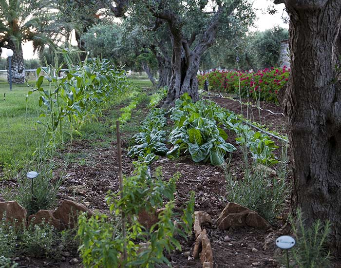 Borgo Pida turismo rurale